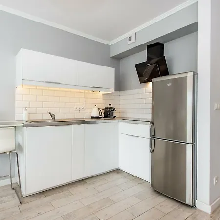 Estudio De 35 M² En Poznán Centro Ciudad, Con 1 Baño Privado. Poznan